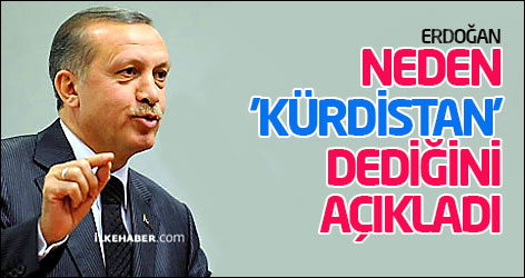 Erdoğan neden 'Kürdistan' dediğini açıkladı