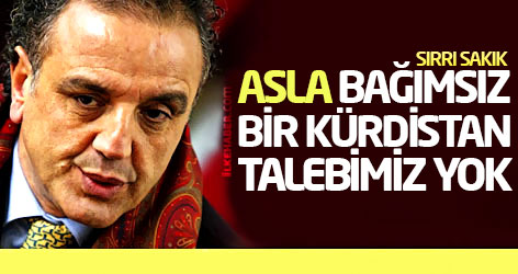Sırrı Sakık: Bağımsız bir Kürdistan talebimiz asla yok