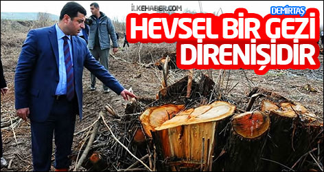 Demirtaş: Hevsel bir Gezi direnişidir
