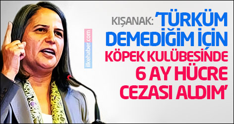 'Türküm demediğim için köpek kulübesinde 6 ay hücre cezası aldım'