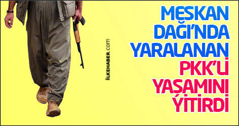 Meskan Dağı'nda yaralanan PKK'li yaşamını yitirdi