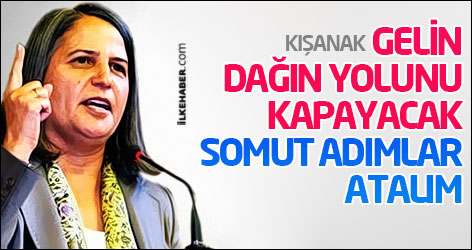 Kışanak: Gelin dağın yolunu kapayacak somut adımlar atalım