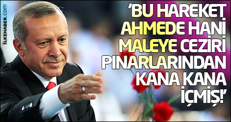 Erdoğan: Bu hareket Ahmede Hani, Maleye Ceziri pınarlarından kana kana içmiş!