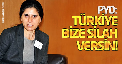 PYD: Türkiye bize silah versin!