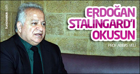 'Erdoğan'ın 'Kobanê düştü, düşecek' sözü 'Kobanê düşmeli' anlamına geliyor'