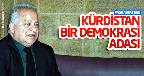 Prof. Abbas Vali: Kürdistan bir demokrasi adası