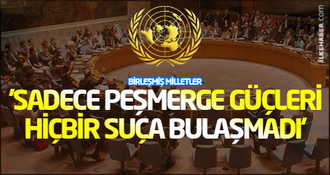 BM: 'Sadece Peşmerge güçleri hiçbir suça bulaşmadı'