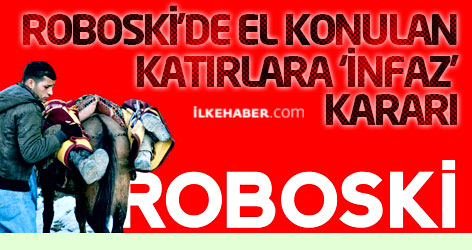 Roboski'de el konulan katırlara 'infaz' kararı