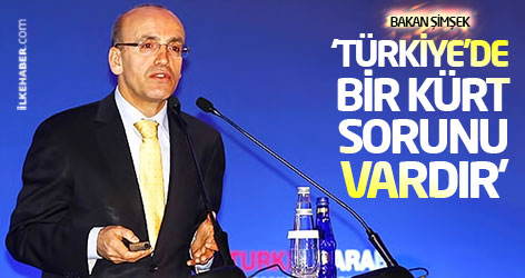 Bakan Şimşek: Türkiye'de bir Kürt sorunu vardır