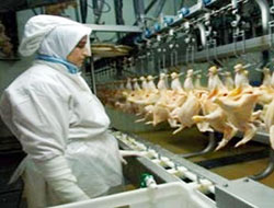 Kürdistan, Türkiye’den tavuk ürünleri alımını yasakladı