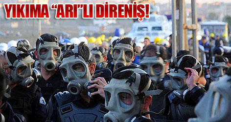 Yıkıma 'arı'lı direniş...