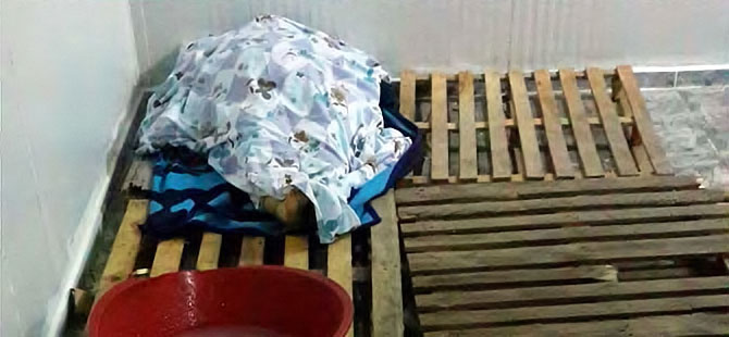 Cizre'de vurulan kadının cesedi tavukçunun soğuk hava deposunda bekletilmiş!