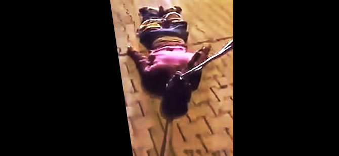 Davutoğlu: 'Görüntüleri tasvip etmemiz mümkün değil'