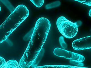 Uzmanlar uyardı: Antibiyotik kıyametinin eşiğindeyiz