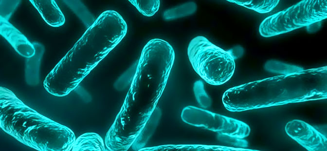 Uzmanlar uyardı: Antibiyotik kıyametinin eşiğindeyiz