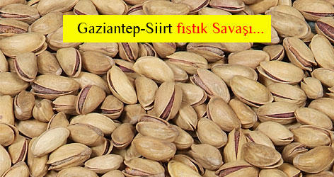 Siirtliler fıstık için Yargıtay'a gidiyor