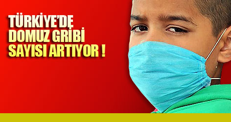 Türkiye'de domuz gribi sayısı artıyor