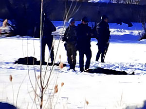 HPG: Van'da 12 gerilla komplo ve ihanet yöntemiyle infaz edildi