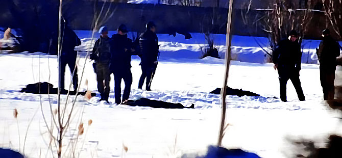 HPG: Van'da 12 gerilla komplo ve ihanet yöntemiyle infaz edildi