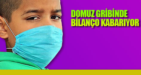 Domuz gribinde bilanço kabarıyor