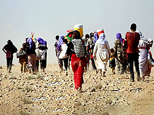 Avrupa Parlamentosu’dan Ezidi Soykırımı’nı tanıma kararı