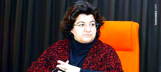 Emine Ayna: Bir asker kolumdan tuttu ve 'Bakın, ateş et emri var' dedi