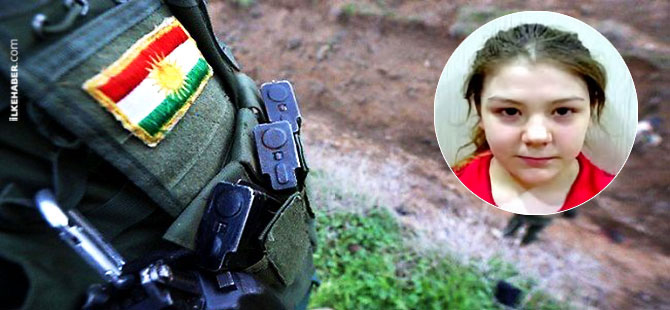 İsveç, Peşmerge'yi konuşuyor