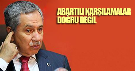 Arınç: "Abartılı karşılamalar doğru değil"
