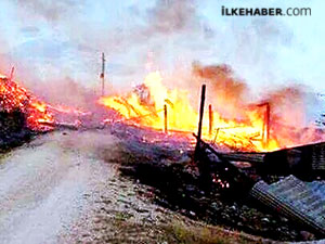 'Lice'de sivil halkın can güvenliği tehdit altında!'