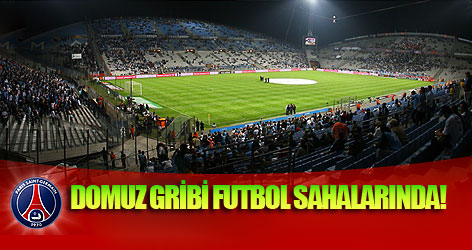 Domuz gribi futbol sahalarında