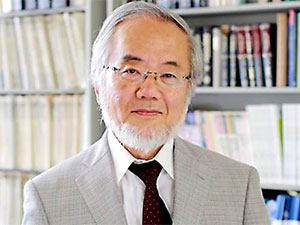 Nobel Tıp Ödülü, Japon hücre biyoloğu Yoshinori Ohsumi'ye verildi