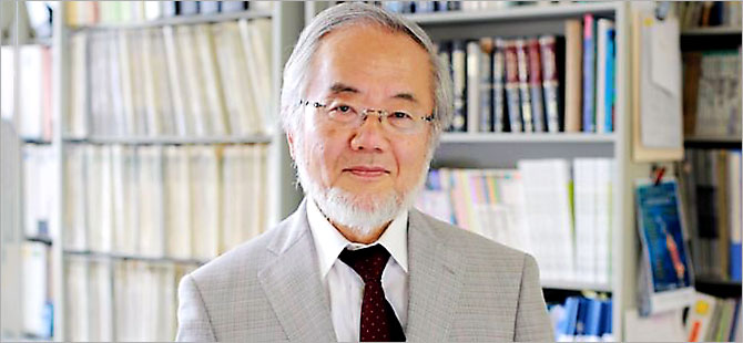 Nobel Tıp Ödülü, Japon hücre biyoloğu Yoshinori Ohsumi'ye verildi