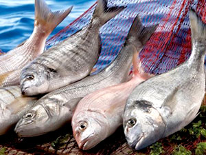 Balık fiyatlarında yüzde 300'e varan artış