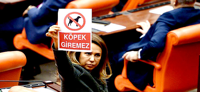 TBMM'de 'dikkat köpek giremez' yazısı gerilimi
