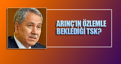 Arınç'ın özlemle beklediği TSK?