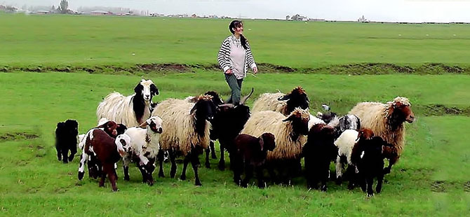 Muş'lu kızların büyük başarısı