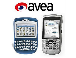 Avea abonelerine BlackBerry dağıtacak!