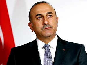 Çavuşoğlu: Alman vekil saçmalamış