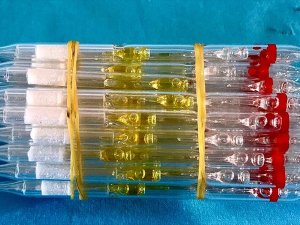 İstanbul'da bin 725 tüp yılan zehri ele geçirildi