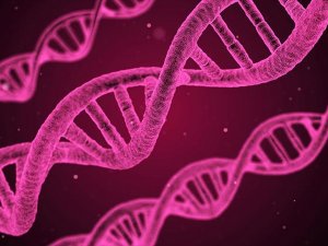 Kanser tedavisinde DNA nanorobotları devrede