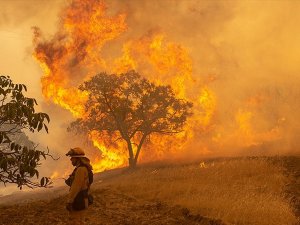 California'daki yangınlar kontrol altına alınamıyor