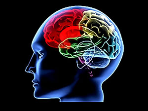 Beyninizi güçlendirmenin sekiz yolu