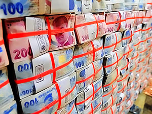 Hazine 2.39 milyar lira borçlandı