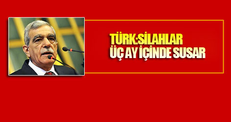Türk: Silahlar Üç Ay İçinde Susar