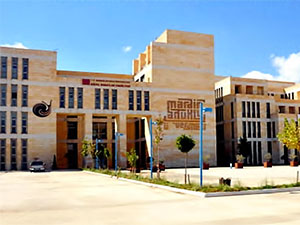 Artuklu Rektörü: Enstitüyü Kapatma söz konusu değil