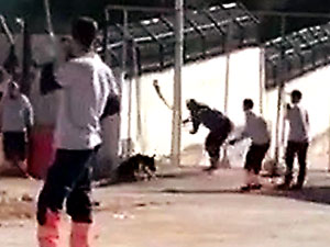 Konya’da bir köpeği öldüren iki kişiye ilk duruşmada tahliye