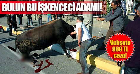 Bulun bu işkenceci adamı!