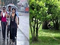 İstanbul'da bir günde iki mevsim