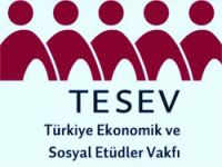 TESEV'den Kürt sorununa 17+1 formülü