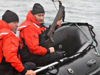 Putin gri balinanın peşinde